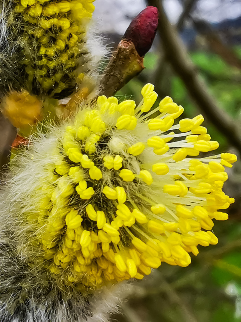 PSX_20230319_224529 | mtkfoto_ - Realisiert mit Pictrs.com