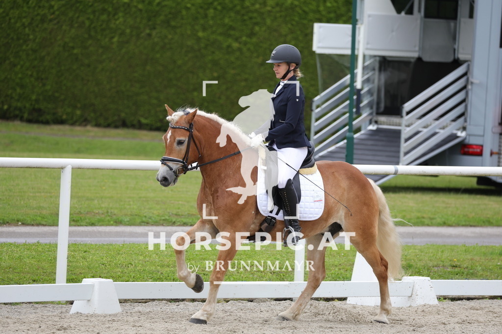 0P6A4857 | Willkommen bei Brunnmayr - Design & Fotografie – Ihrem Spezialisten für Reitturniere und Pferdeveranstaltungen in Oberösterreich, Salzburg und Bayern! Seit über 17 Jahren sind wir leidenschaftlich dabei.