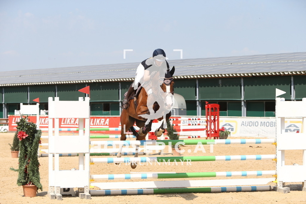 DL2Q1024 | Willkommen bei Brunnmayr - Design & Fotografie – Ihrem Spezialisten für Reitturniere und Pferdeveranstaltungen in Oberösterreich, Salzburg und Bayern! Seit über 17 Jahren sind wir leidenschaftlich dabei.