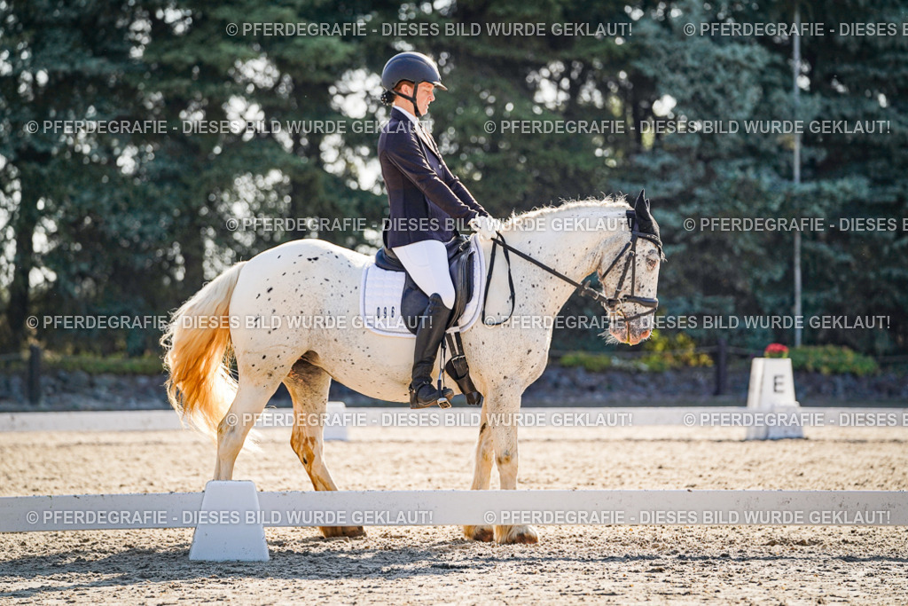 DSC09376 | Pferdegrafie