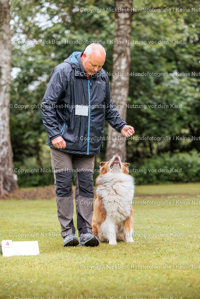 RO-Blumenthal-2026-Nickbest-Hundefotografie-0657 | Dein Hund! Dein Moment! Deine Erinnerungen! Hundefotografie in Bremen Blumenthal. Ich fange die besonderen Momente deines Vierbeiners ein – ob Indoor mit Blitzanlage oder in der freien Natur. Sicher dir dein Moment und dein Termin für eure Erinnerungen.