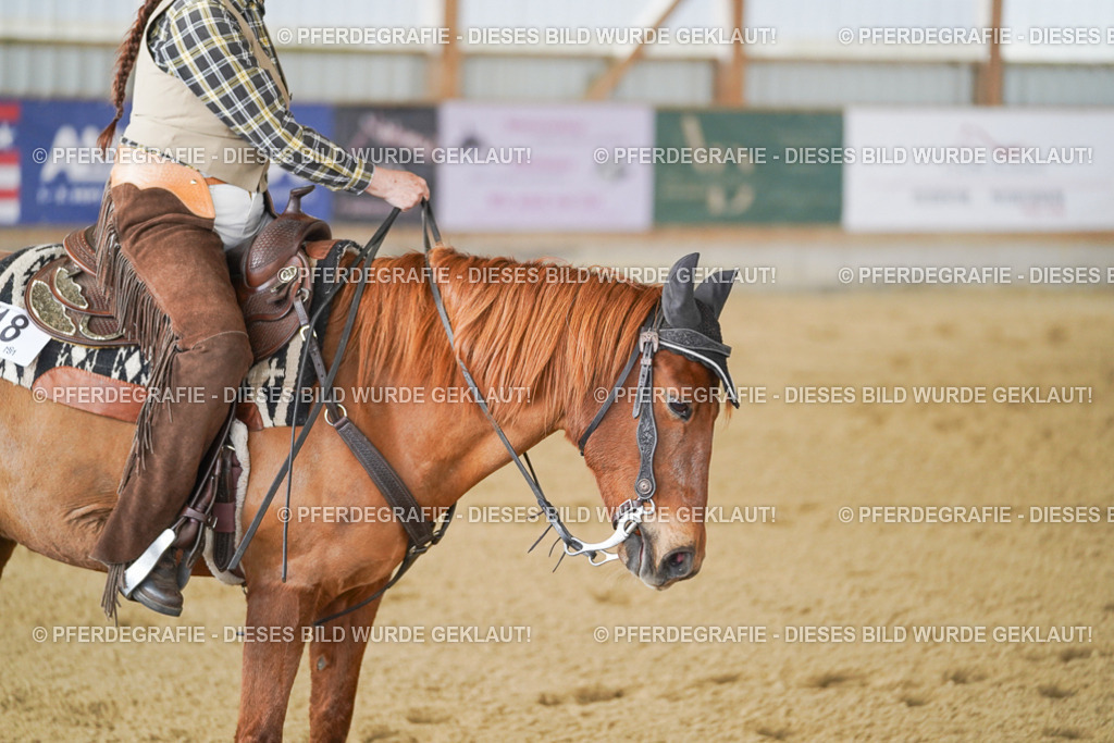 DSC03168 | Pferdegrafie