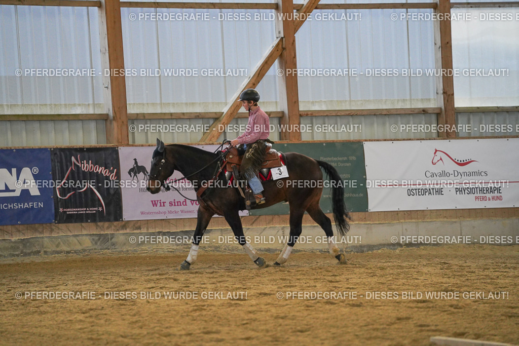 DSC09150 | Pferdegrafie