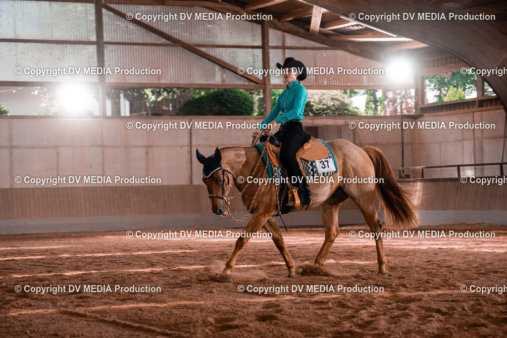 NE100426 | dv-media-shop - Realisiert mit Pictrs.com