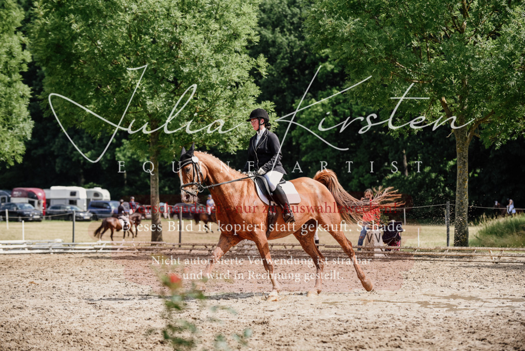 DSC_0700 | Pferde- und Turnierfotografie in Westsachsen. Pferdeportraits, Auftragszeichnungen und intuitive Kunst.