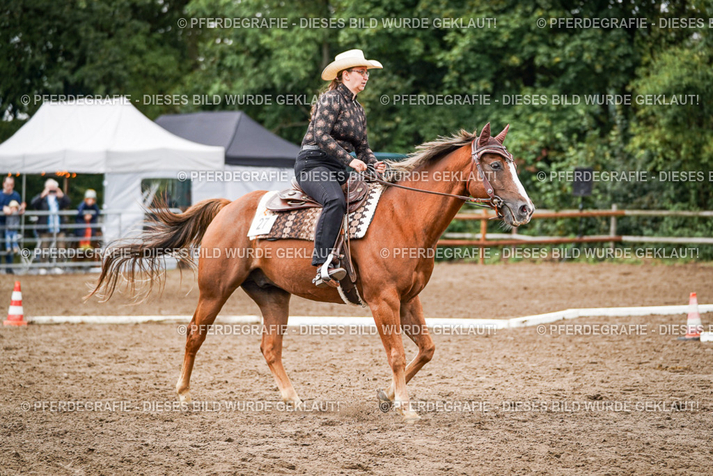 DSC04019 | Pferdegrafie