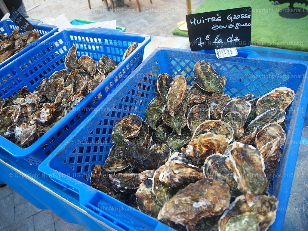 P1012193 | photograph1 - Realisiert mit Pictrs.com