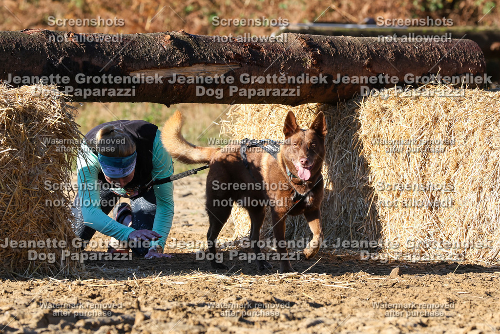 Dog Paparazzi - Strongdog 10-25-1456 | Dog Paparazzi Jeanette Grottendiek Fotografie & Videografie - Realisiert mit Pictrs.com