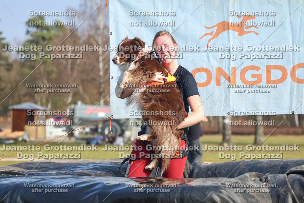Dog Paparazzi - Strongdog North Mrz26-3042 | Dog Paparazzi Jeanette Grottendiek Fotografie & Videografie - Realisiert mit Pictrs.com