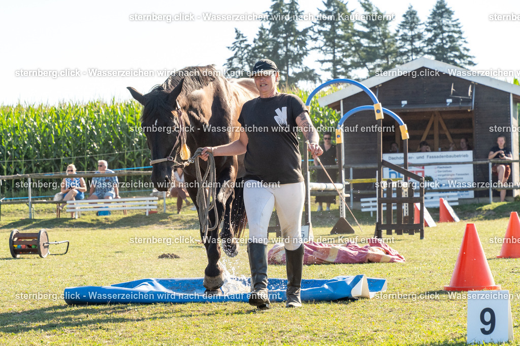 2026-08-08_16-29-59_WBO_Pulsnitz | sternberg.click - Realisiert mit Pictrs.com
