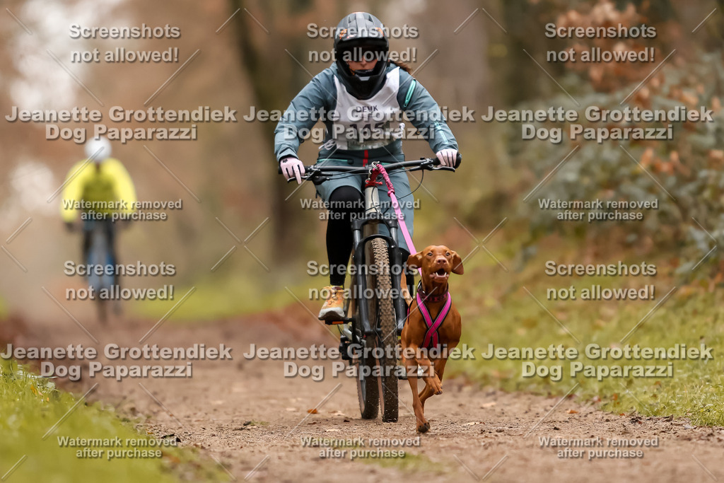 Dog Paparazzi - Speedhunter Mannheim  2025-404 | Dog Paparazzi Jeanette Grottendiek Fotografie & Videografie