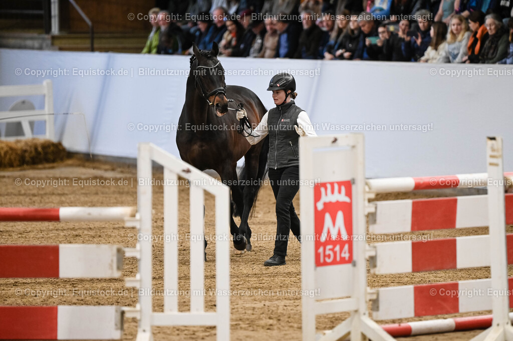 20260307_Hengstvorstellung-Marbach_0068 | equistock