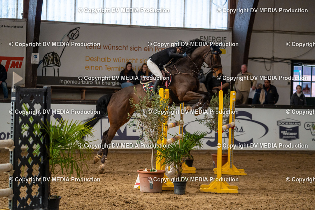 Kranichstein Tag 2-503 | dv-media-shop - Realisiert mit Pictrs.com