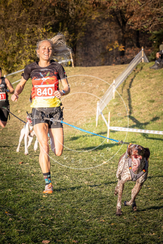 CaniXpix_0L8A0721 | Hundefotografie, Tierfotograf, Pfotenfotografie, Fotoshooting Hund, Hunde Portrait, Hundesport, Hundeportraits, Heideshooting, Hunde, Sportfotograf, Hundefotograf, Turnierhundsport, THS,  - Realisiert mit Pictrs.com