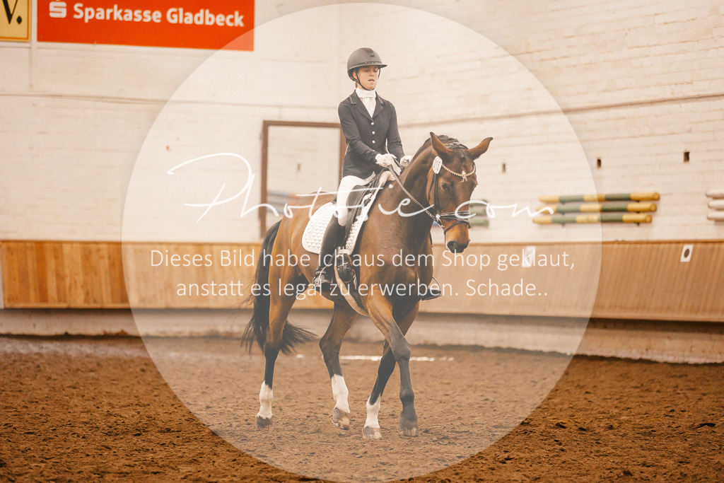 3I6A1831 | Stimmungsvolle Portraits und Reitsportfotografie im Ruhrgebiet und im Münsterland.

Pferdefotografie, Hundefotografie, Tierfotografie, Reportagen, Portraits von Tier und Mensch, Turnierfotografie in Bochum, Recklinghausen, Marl, Haltern am See, Dülmen.. - Realisiert mit Pictrs.com