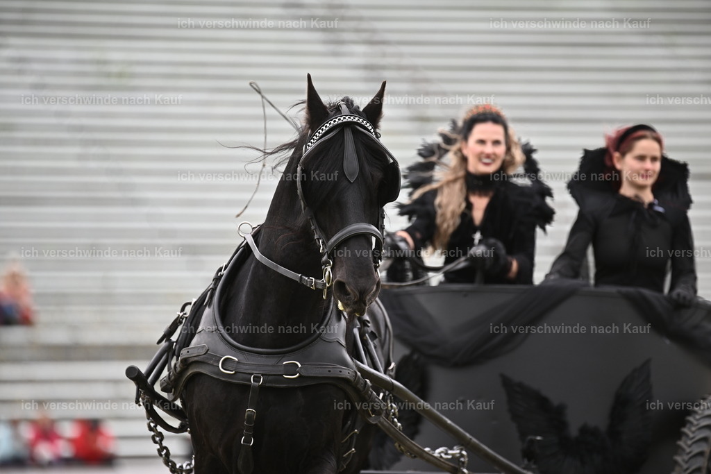 PI26_Show_Sara_Landvogt_226_1301.JPG | working equitationturnier fotograf videograf stoibphotography marixx film working equitation deutschland reitsport turnierfotografie eventfotografie equestrian events