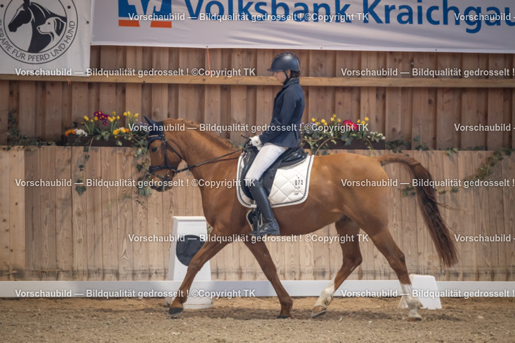 _D5A2079 | Emotionale Pferde- & People-Fotografie rund um Heidelberg, Leimen & Umgebung. Natürliche Fotos von Pferd, Mensch & Familie. Jetzt Termin sichern!