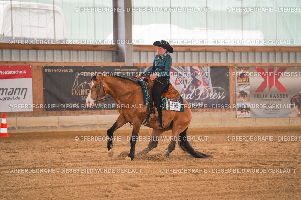 DSC09858 | Pferdegrafie