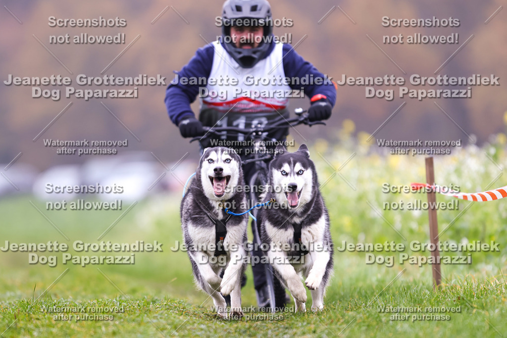 Dog Paparazzi - Visbeck 25 -133 | Dog Paparazzi Jeanette Grottendiek Fotografie & Videografie - Realisiert mit Pictrs.com