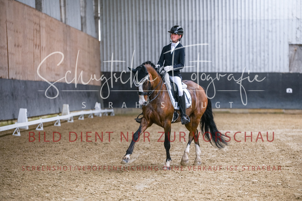 Schugtsche-Aluta25-56.Dressurprf.L1Kand.-120 | Schugtsche Fotografie - Realisiert mit Pictrs.com