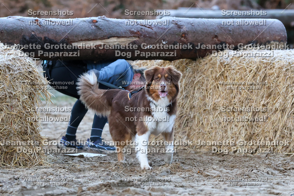Dog Paparazzi - Strongdog 10-25-120 | Dog Paparazzi Jeanette Grottendiek Fotografie & Videografie - Realisiert mit Pictrs.com