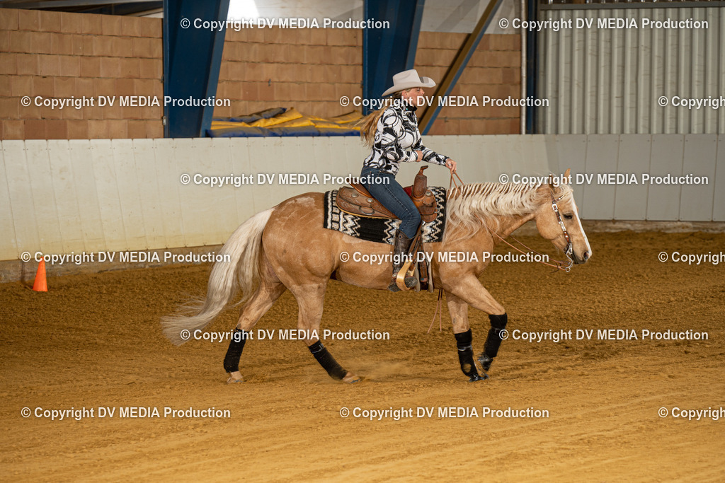 MIT00211 | dv-media-shop - Realisiert mit Pictrs.com