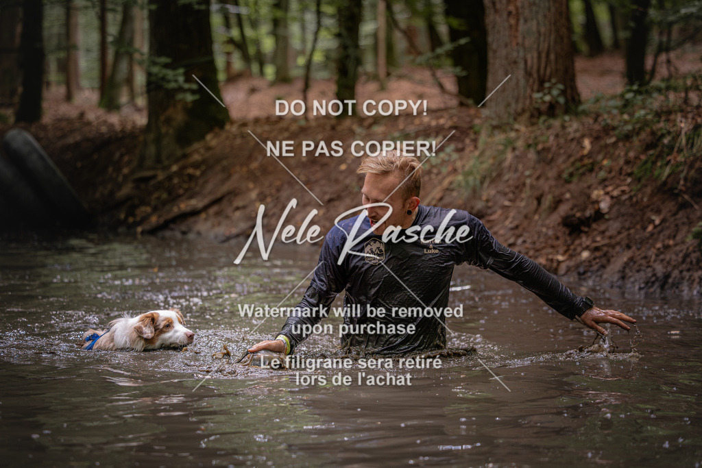 nelerasche_SaWingst1400-1500_247 | nelerasche