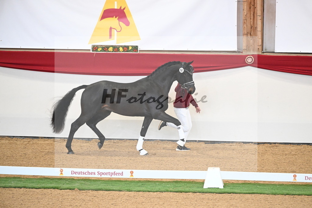 Kat.-Nr. 79 v. Taurus_Beckmann_2250348 | hf-fotografie - Realisiert mit Pictrs.com