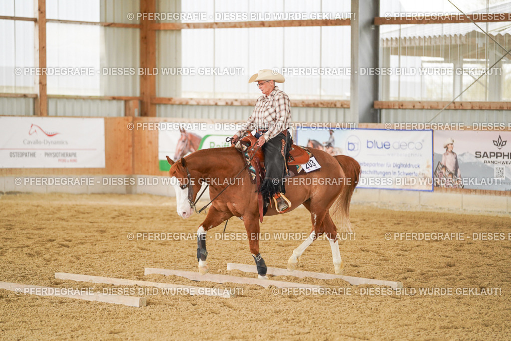 DSC04119 | Pferdegrafie