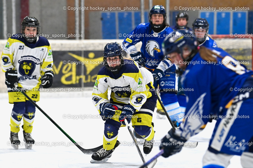 Wildcats Paternion vs. Lady Hawks  | #22 Oberrauner Franziska WILDCATS PATERNION, #6 Jelovcan Selina WILDCATS PATERNION, Wildcats Paternion vs. Lady Hawks , Wildcats Paternion vs. Lady Hawks  am 27.01.2025 in Spittal an der Drau (Eissportzentrum Spittal), Austria, (Photo by Bernd Stefan)