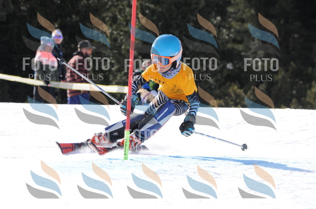 C7247 | holidayphoto