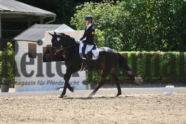 Böblingen_2025_Prfg.Nr.08_Dressurprüfung_Kl.M_Nürnberger Burgpokal_Alena Weinberger_Don Dynamic (5) | Alle Fotos der Reiterjournal Fotografin Doris Matthaes im Reiterjournal Online-Fotoshop. - Realisiert mit Pictrs.com