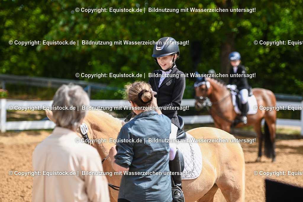 20230716_10-3_Reiter-WB Schritt - Trab - Galopp_0195 | equistock