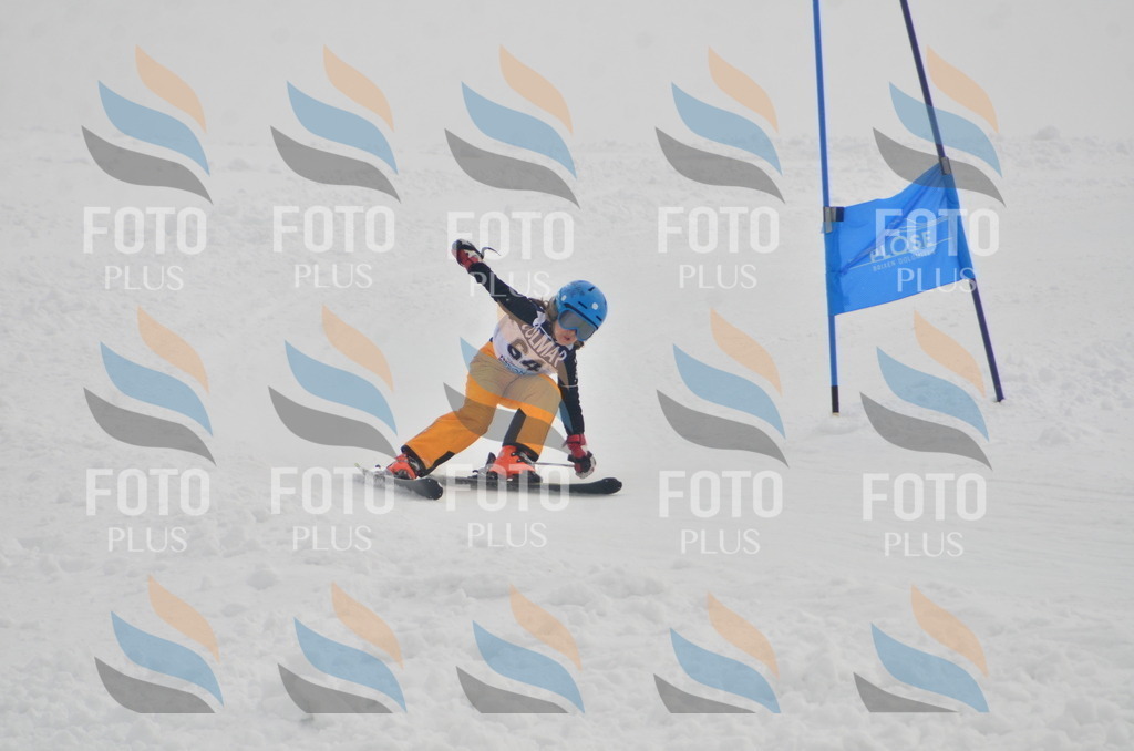 A5523 | holidayphoto