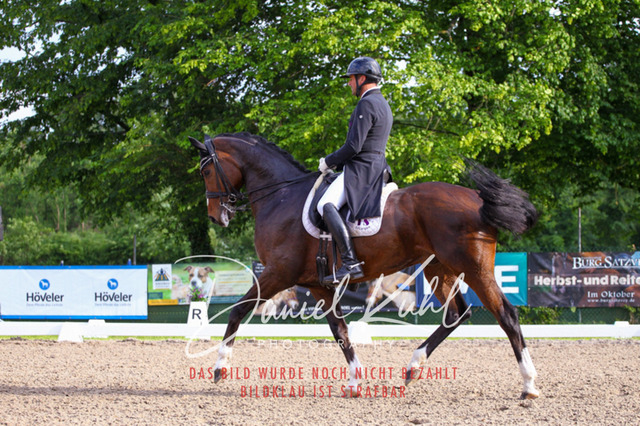 DKP41780 | Deine Turnierfotos vom Reitturnier online kaufen: Dressur, Springen & Siegerehrung. Professionelle Pferdefotografie aus dem Rheinland – als Download & Print.Alternative: Turnierfotograf für den Pferdesport: Finde deine Fotos von Dressur- und Springturnier