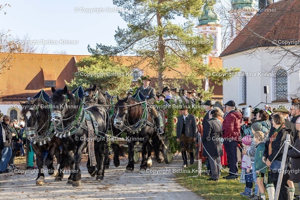 LBT25-1049 | foto-bettina-krinner - Realisiert mit Pictrs.com