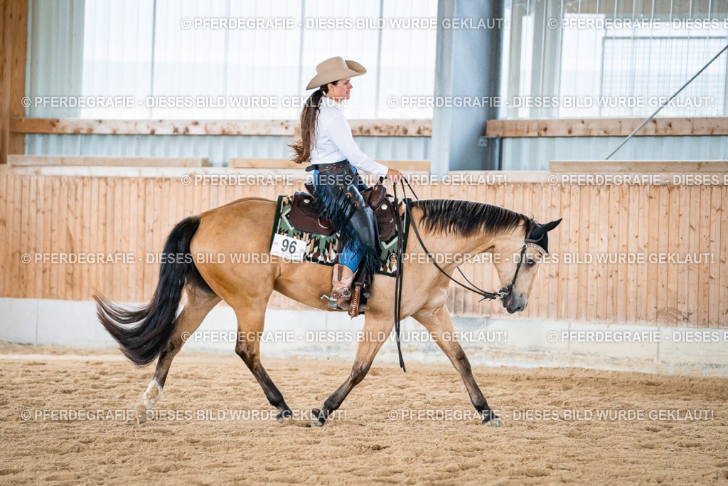 DSC03593 | Pferdegrafie