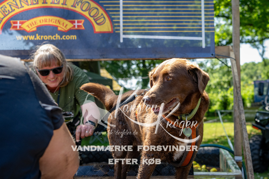 1315_ZZ90943 | kk-dogfotos