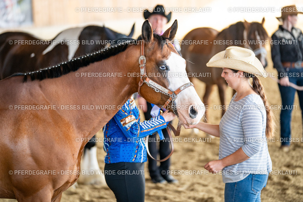 DSC07654 | Pferdegrafie