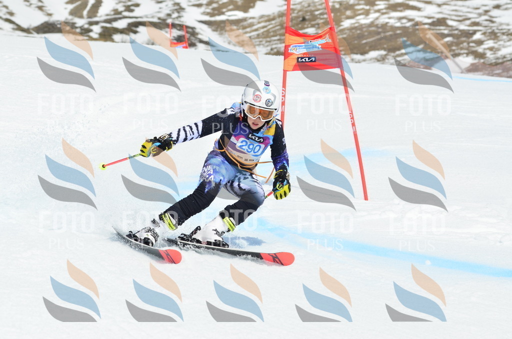 _ELE2070 | holidayphoto