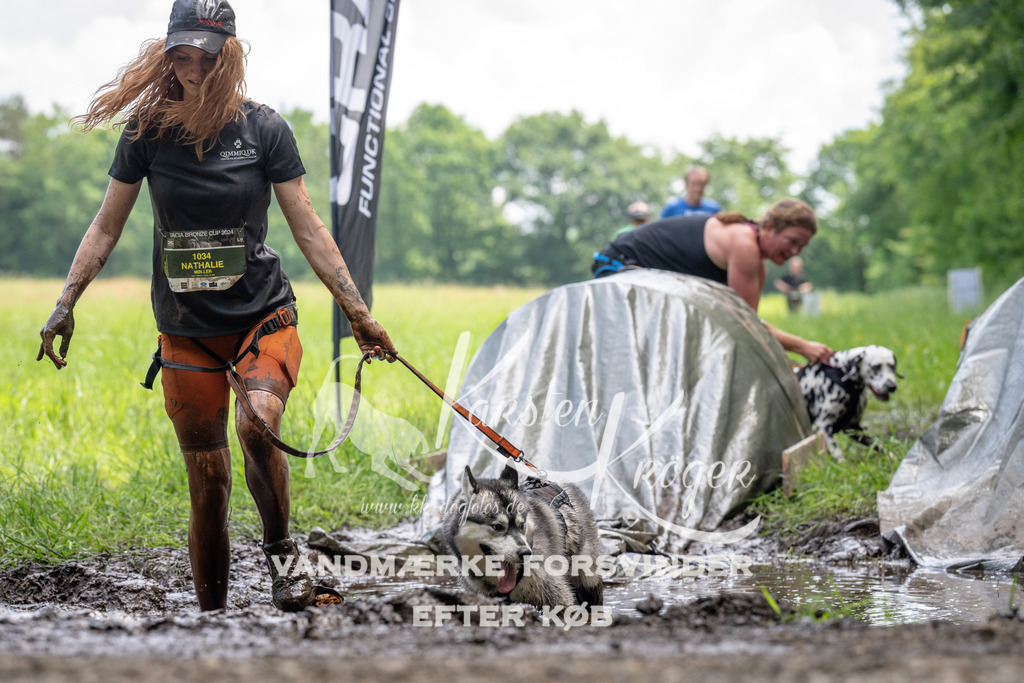 1138_ZZ93487 | kk-dogfotos