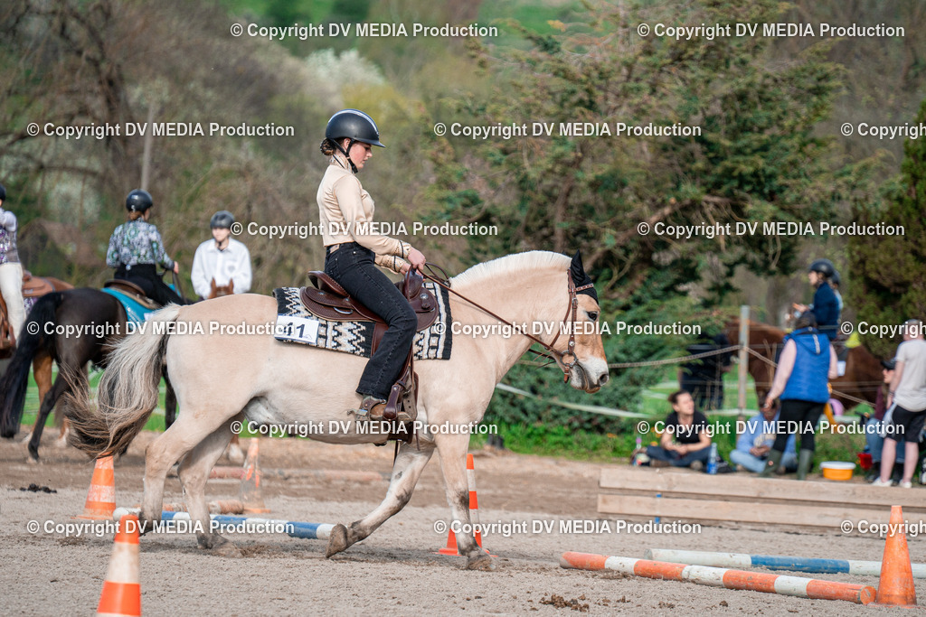 BAL02836 | dv-media-shop - Realisiert mit Pictrs.com