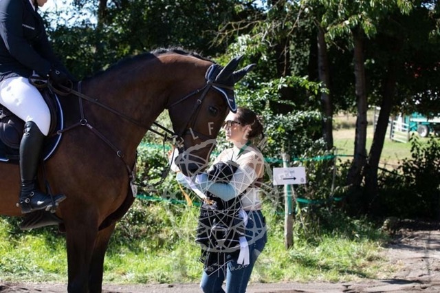 2B4A0325 | pixelfaenger - Realisiert mit Pictrs.com