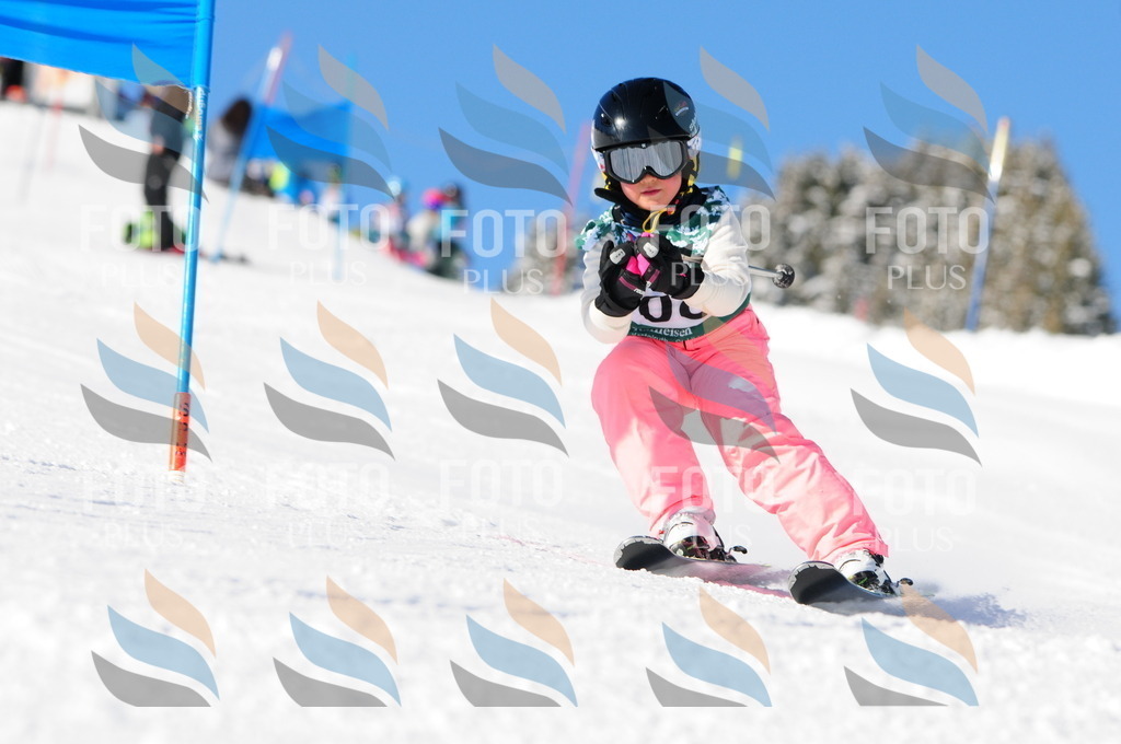 A8423 | holidayphoto