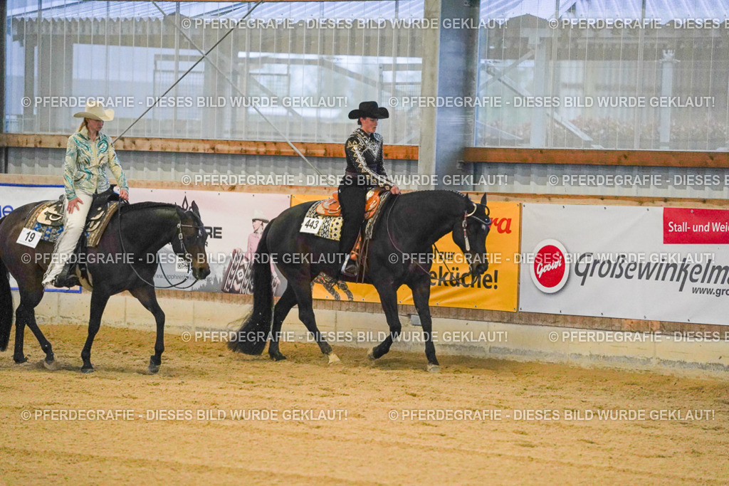 DSC08662 | Pferdegrafie