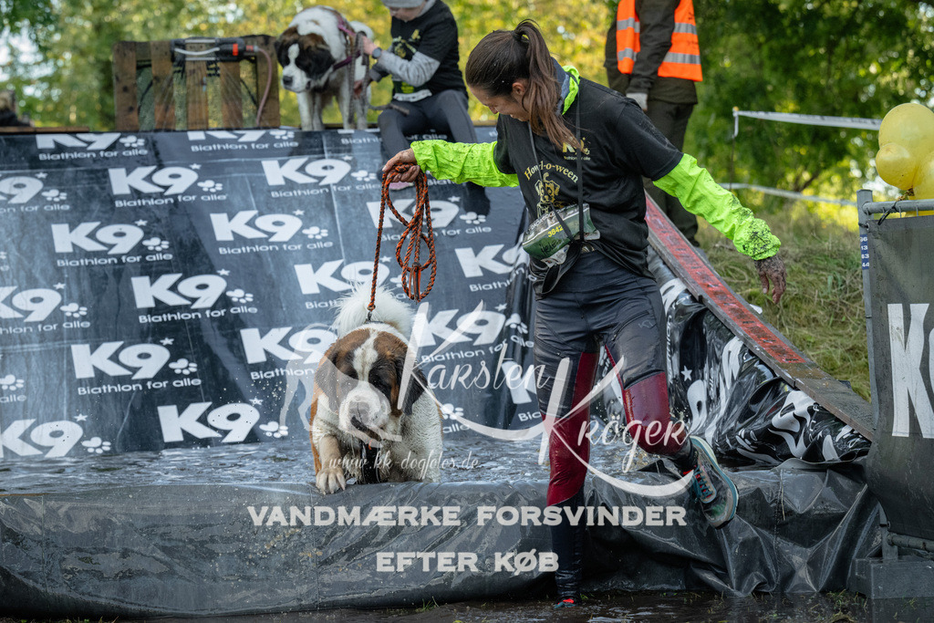 1600_ZZ91778 | kk-dogfotos