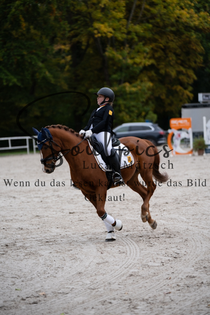 A7V01250 | Turnier/Reitfotograf