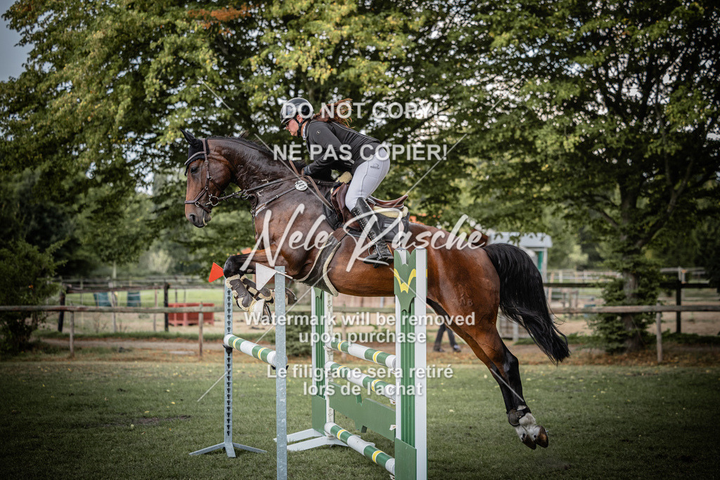 nelerasche_SprA__100Ede_26 | nelerasche