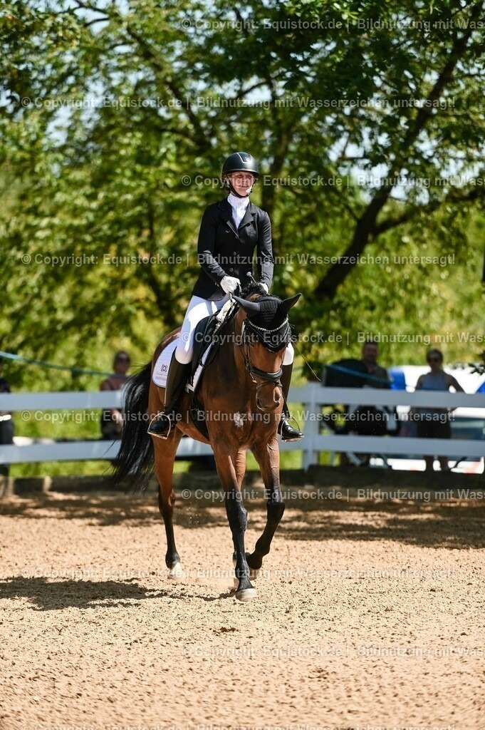 20230715_02_Dressurreiterprüfung Kl.L_0098 | equistock