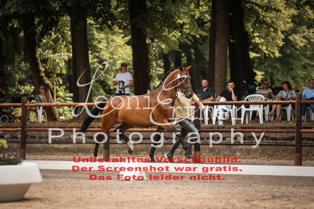 Do2.R00001 | Leoni Ertmer Photography - Realisiert mit Pictrs.com